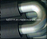 Seamless Stainless Steel Heat Exchanger / Boiler Pipe / Tube for Heat Exchanger / Boiler (EN 10216-5/DIN 17458 1.4301)