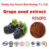 Natural Grape Seed Extract Anthocyanin for Healthy and Nutrition Supplyment