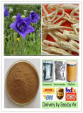 Hot-Selling Plant Extract/ Balloon Flower Root P. E.