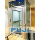 FUJI Hydraulic Home Lift Elevator Price