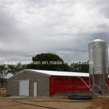 Steel Structure Poultry Shed with Full Set Equipment