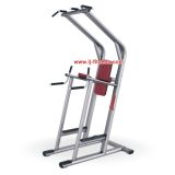 Chin/DIP/Leg Raise Body Home Fitness Equipment (LJ-5534)