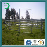 Hot-Sale Durable Hot Dipped Galvanized Stalls for Bulls