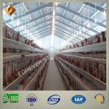 Low-Cost Modern Designed Steel Structure Poultry Farm