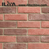 Wall Brick Tile, Artificial Brick Making Building Material (YLD-18011)