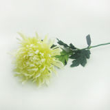 Artificial Flower-Single Spider Chrysanthemum with Leaves