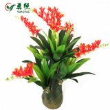 Yongyue 0765 Hot Sale Red Artificial Freesia Bonsai Tree for Wholesale