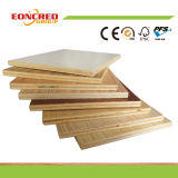 Birch Plywood/ Cheap Plywood for Plywood Doors Design