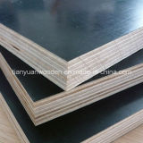 Building Material of Top Grade WBP Glue Black Film Faced Plywood