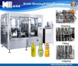 Beverage Bottling Filling Machinery/Equipment