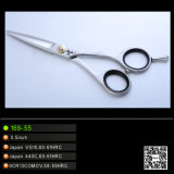 2014 Hair Dressing Cutting Scissors (169-55)