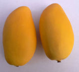 Artificial Fruit Mango for Decoration