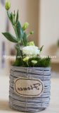 Original Decorative Woven Willow Flower Pot
