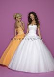 Wedding Dress&Wedding Gown&Evening Dress (HS-132)