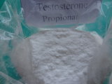 Testosterone Propionate Powder (CAS: 57-85-2)