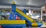 2015 Hot Sale Blue & Yellow Water Slide for Sale