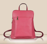 Top Quality Designer Satchel Pack Bag for Fashion (XB303)