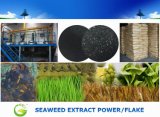 Organic Bio Seaweed Extract Fertilizer