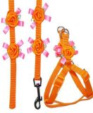 Fashion&Colorful Nylon Dog Harness for Pet Products (JCLH-1640)