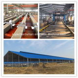 Super Herdsman Steel Frame Poultry Farm and House Construction