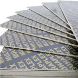 12mm Black Color Film Faced Plywood with Phenolic Glue