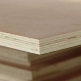 BB/CC Grade Commercial Plywood with Poplar Core