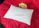 Pillow /Hotel Pillow/Cushion/Pillow Case