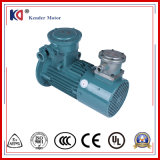 Frequency Conversion Electric Induction AC Motor