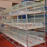 H Type 3 Tiers Pullet Chicken Cage Poultry Farm