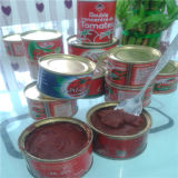 70g/140g/800g/1000g/4500g China Hot Sell Canned Tomato Paste