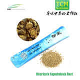 Traditional Chinese Medicine, Divaricate Saposhniovia Root Granules