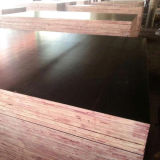 Film Faced Plywood Shandong Manufacture/Construction Plywood