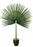 Artificial Plants and Flowers of Big Fan Palm Lvs 2.25m