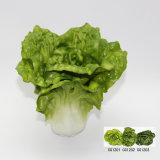 Artificial Vegetable, Imitative PVC Cabbage