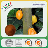 100% Natural HPLC 10%~20% Theobromine Cocoa Seed Extract