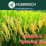 Huminrich High Efficiency of Plants Uptake of Nutrients Humic Acid Fertilizer