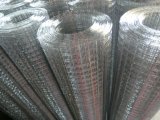 Weled Wire Mesh (DGH)