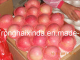 Fresh Qinguan Apple
