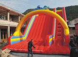 Amusement Park Inflatable Slide