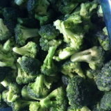 Supplying IQF Frozen Broccoli Florets