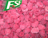 IQF Raspberries - 3