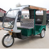 Electric Tricycle (THCL-1F) 