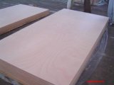 6mm to 18mm Good Quality Good Service Plywood