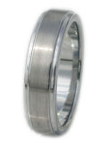 Stailess Steel Ring (TS-W029)