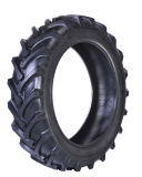 Top Trust China Factory Supplier with Agricultural Tyres (20.8-38)