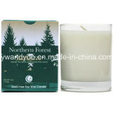 Northern Forest Tumbler Candle