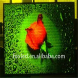 HD Full Color P5 Indoor Advertising LED Display