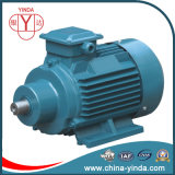 3kw Tefc Three-Phase Induction Motor (Grinding Motor for Ceramic Machinery)