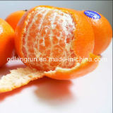 Mandarin Orange (New Crop)