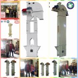 Vertical Chain Bucket Elevator in Cement Industry